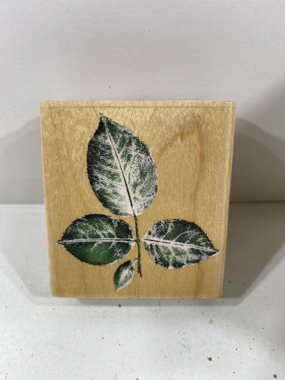 Rubber Stampede Rose Leaves Wood Mounted Rubber Stamp A2491E